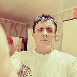 , 56, 