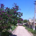 ���� ���������, ���������� - ��������� 14 ��� 2025 � ������ ���� ������