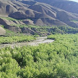 Maruf, ������, 28 ���