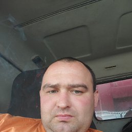 , 33, 