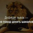 ���� ����, ����, 68 ��� - ��������� 30 ������� 2024 � ������ ���� ����������