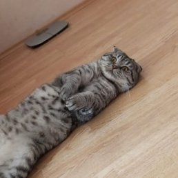 ���� �����, ���������, 18 ��� - ��������� 23 ������� 2026