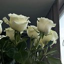 ���� �������, ��������� - ��������� 9 ������� 2026