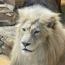 ���� ����, ������, 20 ��� - ��������� 25 ������ 2026 � ������ ���� ����������