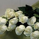���� ����, ��������� - ��������� 19 ��� 2026 � ������ ������ ��������