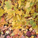  , -, 57  -  11  2025