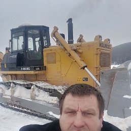 ����, 46 ���, ������