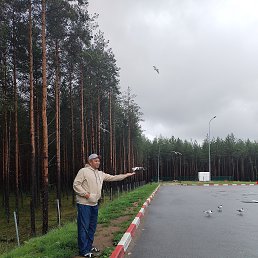 , 49, 