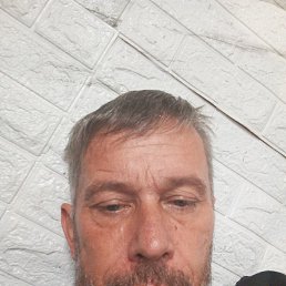 , 49 , 