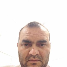 , 37, 