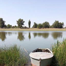 �������� ��������, ������, 49 ���