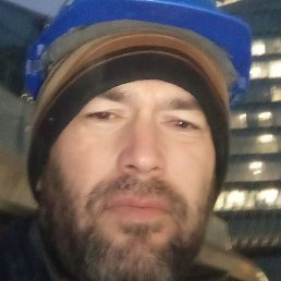 ����, �����-���������, 37 ���