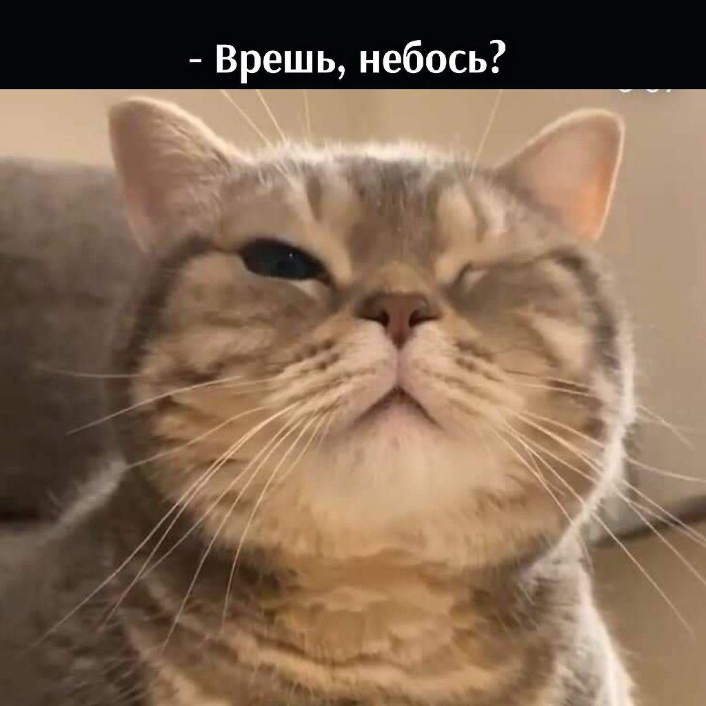 ��� ���� � ����� �� �� - 18 ������� 2025 � 11:03 - 5