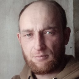 ������, �����, 36 ���