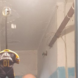 ���� ��������� ��������, ����, 53 ���� - ��������� 7 ������ 2026