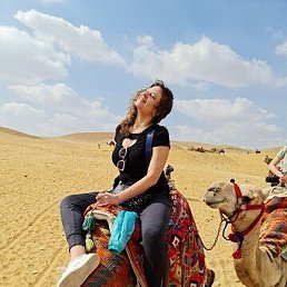 ��������, ����, 81 ���