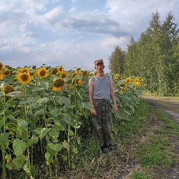 ����, ������, 50 ���