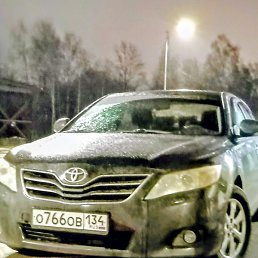 �������, ������, 46 ���