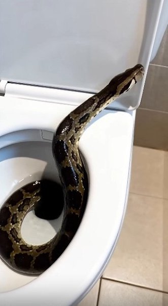 ����� ����� � ���������... ����� ���� �������� �������� �� �������, �������, ��� � ��� ���� ������� ... - 2