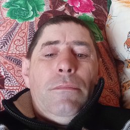 ����� ��������, ������, 44 ����