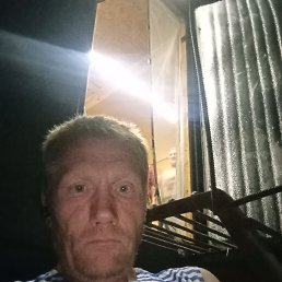  , 41 , 