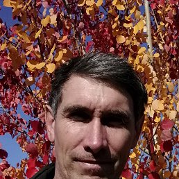 , 53, -
