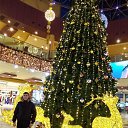 ���� ������, ���������, 25 ��� - ��������� 10 ������ 2024 � ������ ���� ����������