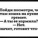  Vasya Sedoy, , 56  -  23  2023    