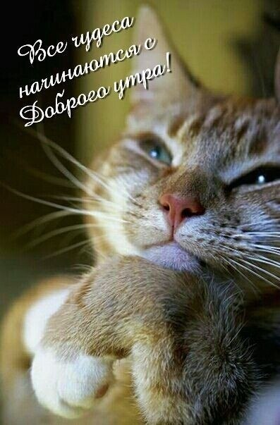 ***Victoria Viktorovna*** - 26  2023  04:24