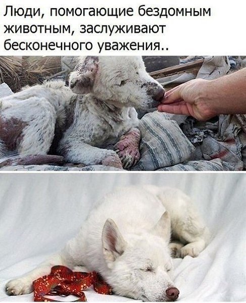 ? ,  ! - 23  2024  00:50