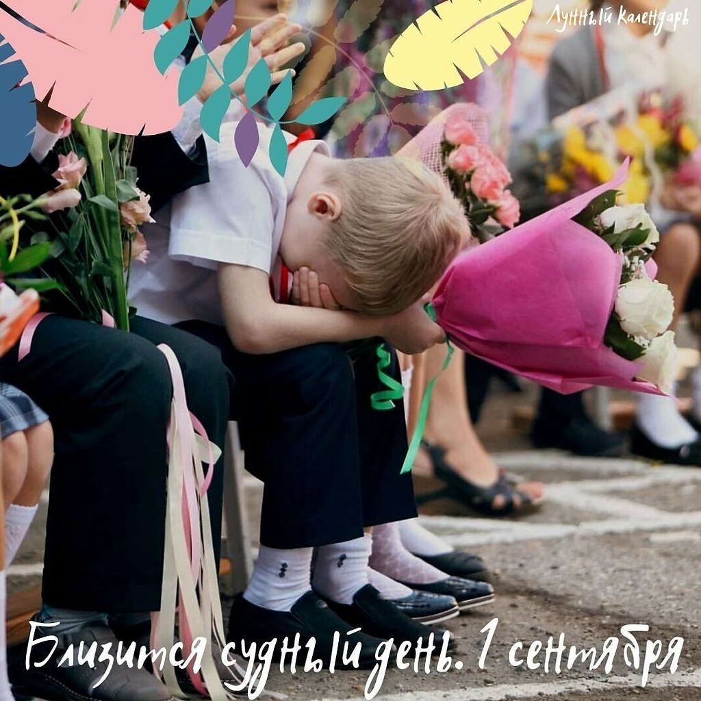 Близится судный день. 1 сентября. День расплаты учеников за беззаботное лето, родителей - за лицо ...