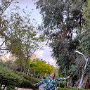 ���� ����, �����, 78 ��� - ��������� 26 ������ 2026 � ������ ����� ��� ������������