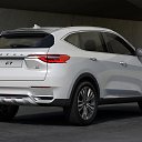 ���� ��������, ���������, 49 ��� - ��������� 5 ������ 2026 � ������ ���� ����������