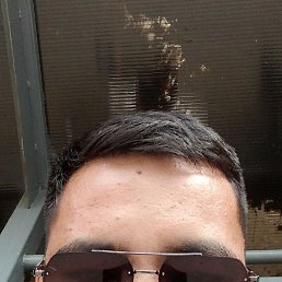 ����, ���������, 29 ���