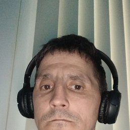 �������, 41 ���, ������