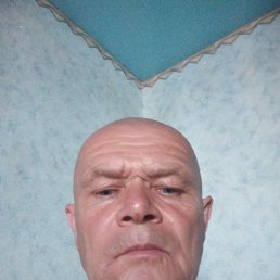, 54, 