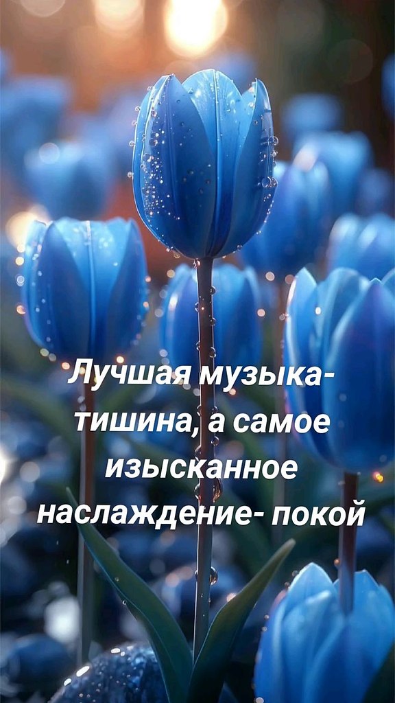 ₪╬═►  ||  ||  ◄═╬₪ - 4  2024  09:23