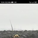  , , 57  -  17  2024    