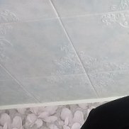 , 42 , 