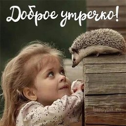 ���� ������, ������, 50 ��� - ��������� 16 ������ 2023