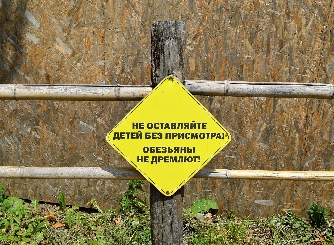 ������� �� ������ - 10