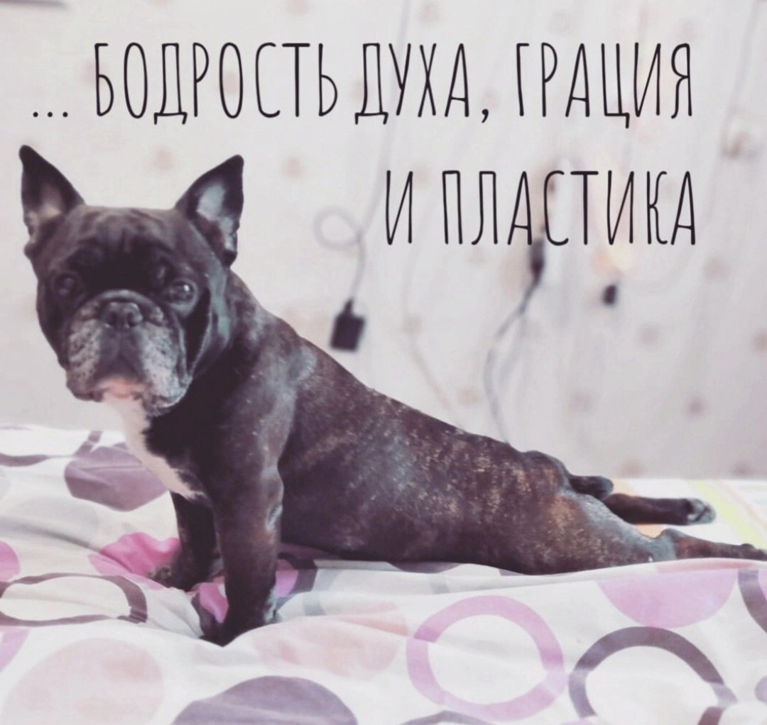 *T* - 29  2025  10:17