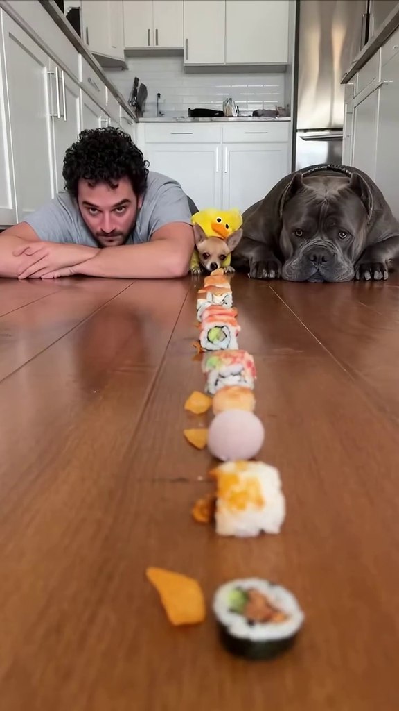 � ����� ���� ������� ����� �� ������)
