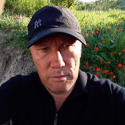 �����, ������, 59 ���