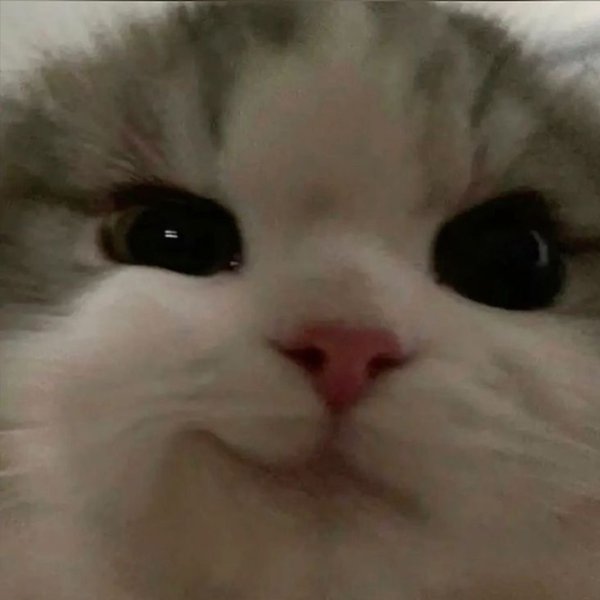 Resident Evil ��� ��������� ���� ������� ������� ����� � ������ - 8