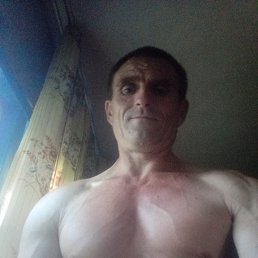 , 41, 