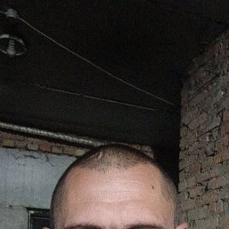 , 41 , 