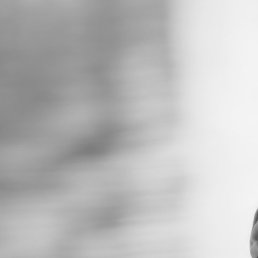 ������, ������, 42 ����