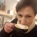 ���� �����, ������, 51 ��� - ��������� 9 ����� 2026 � ������ ���� ����������