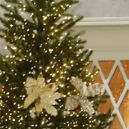 ���� �������, �������, 53 ���� - ��������� 13 ����� 2026